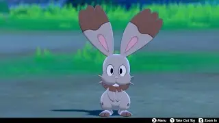 Bunnelby In Camp - Pokemon Sword & Shield