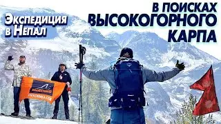 Где искать карпа? Экспедиция MINENKO TEAM в Непал.