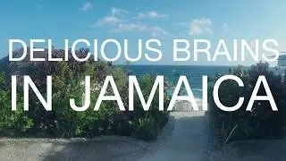 Delicious Brains in Jamaica