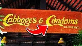 Top 10 STRANGEST Themed Restaurants