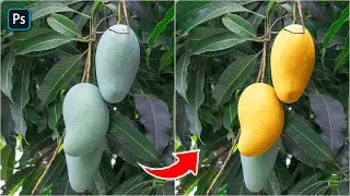 Quick & Easy Photoshop Tutorial: Transforming Green Mango into Yellow