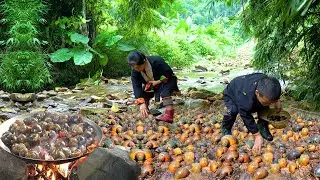 Dwarf Family Catching Snails and Snail Dishes | Rescue Turtle Laying Eggs | Harvesting Joy