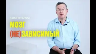 Как формируется зависимость: никотин, алкоголь и наркотические вещества (Вячеслав Дубынин)