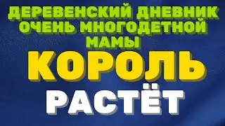 ДЕРЕВЕНСКИЙ ДНЕВНИК очень многодетной мамы. 