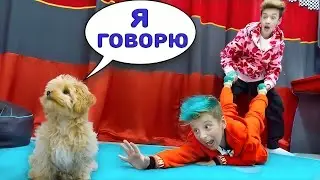 Собака СТАЛА РЕБЕНКОМ в Нашем Доме ! Папа ХОЧЕТ её ВЫГНАТЬ!