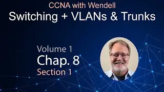 VLANs Explained: How Do They Impact Switch Forwarding?