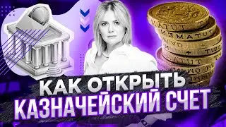 Как открыть казначейский счет? Казначейство - нюансы и особенности + Работа с казначейскими счетами