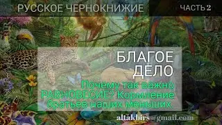 РУССКОЕ ЧЕРНОКНИЖИЕ | ОБУЧЕНИЕ МАГИИ | СОВЕТЫ - Равновесие. Дары Силе и Кормление животных. ЧАСТЬ 2