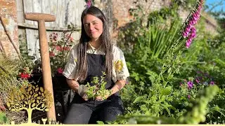 Gardeners' World 2024🍀Episode 14