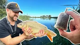 Fishing solid PVA Bags | Rosemary Wood Fisheries