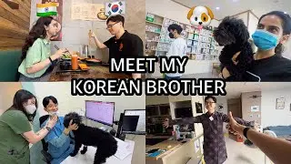 🇰🇷MEET MY KOREAN OPPA & taking Mongmong to the hospital 😭🐶