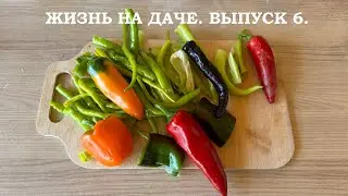 ЖИЗНЬ НА ДАЧЕ.  ВЫПУСК 6.