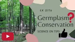 Ex situ Germplasm Conservation ( Notes and Explanation in English) Plant Breeding