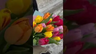 Поздравили свекровь с 8 марта