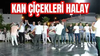 KAN ÇİÇEKLERİ HALAY - (Turkish halay music)