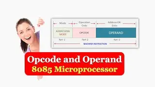 What are Opcode and Operand in 8085 | Difference between Opcode and Operand in 8085