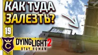 СЕКРЕТНЫЙ ЯЩИК С ИНГИБИТОРАМИ! Dying Light 2 Stay Human #19