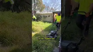 The Neighbours are going to maintain this ladies yard once I get it back under control 