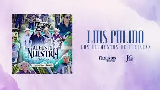 Los Elementos de Culiacán - Luis Pulido