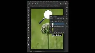 I make Magnifier Effect In Photoshop | 