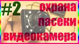 камера слежения защита охрана пасеки видеокамера пчеловодство пасека ульи мед пчелы