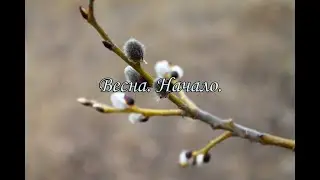 Весна. Начало.