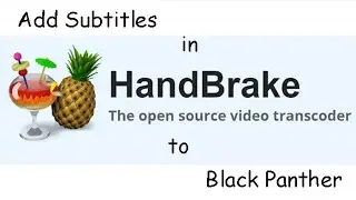 [Free & Easy] HandBrake Adds Subtitles to Black Panther