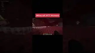 Best WTF Minecraft Moment