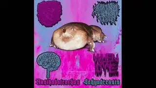 Liquid Thickness/Zymoplastic Frogs/Brainwave Drill/When You Die-Nasikabatrachus Sahyadrensis (2020)