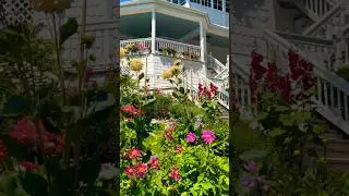 The most beautiful cottage gardens on Mackinac Island! #mackinacisland #gardentour #garden #flowers