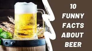 Intresting Facts about Beer | 10 Amazing Facts