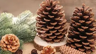 3 Simple and Beautiful Ideas using Pine Cones