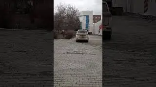 Обращение: Екатеринбург, Малышева 31Д, около фонда защитника отечества. Автохам на пешеходке.