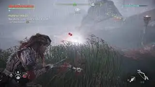 Prueba de troncos - Horizon Zero Dawn PS4