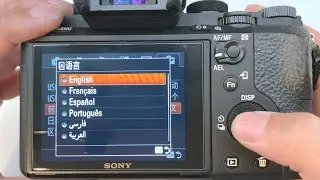 Sony camera change language in 45 seconds!