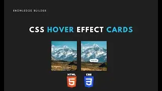 How to make simple card hover effect | Animated card hover effect | HTML CSS card hover effect 😍😍