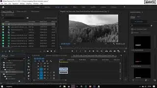 Tutorial Cara Membuat Efek Hitam Putih di Adobe Premier Pro