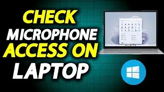 How To Check The Apps That Are Using Your Microphone - How To Easily