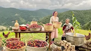 Picking Wild Plum & Cooking Plum Paste Outdoor: Village Life in Iran