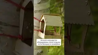 Побыть наедине с природой. Экологические тропы Южно-Сахалинска #сахалин #горныйвоздух