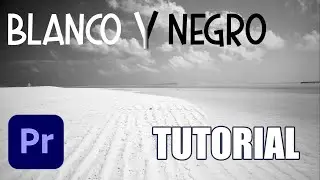 Como colocar un video en blanco y negro en Premiere pro.