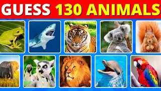 Guess 130 Animals in 3 Seconds 🐾 Easy, Medium, Hard, Impossible