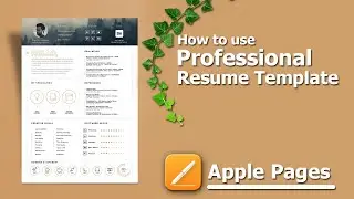 How to use Professional Resume template in Apple Pages