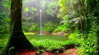 Nature Music In this gentle melody there is everything to relax thinking only about the Beautiful