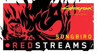 REDstreams special — Interview with Minji Chang & Borys Pugacz-Muraszkiewicz