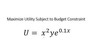 An Interesting Utility Function: U = (x^2)ye^0.1x