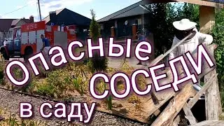 Опасные соседи! Шок контент!