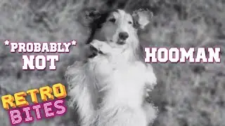 Lassie is Essentially Human | Lassie | Old TV Shows | Retro Bites