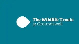 The Wildlife Trusts @ Groundswell - The Sweet Spot