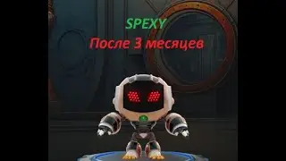 SPEXY Что получилось за 3 месяца